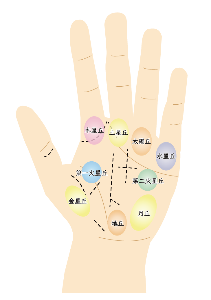 💖 手相占いの秘密!「丘」でわかるあなたの魅力 ✋✨
