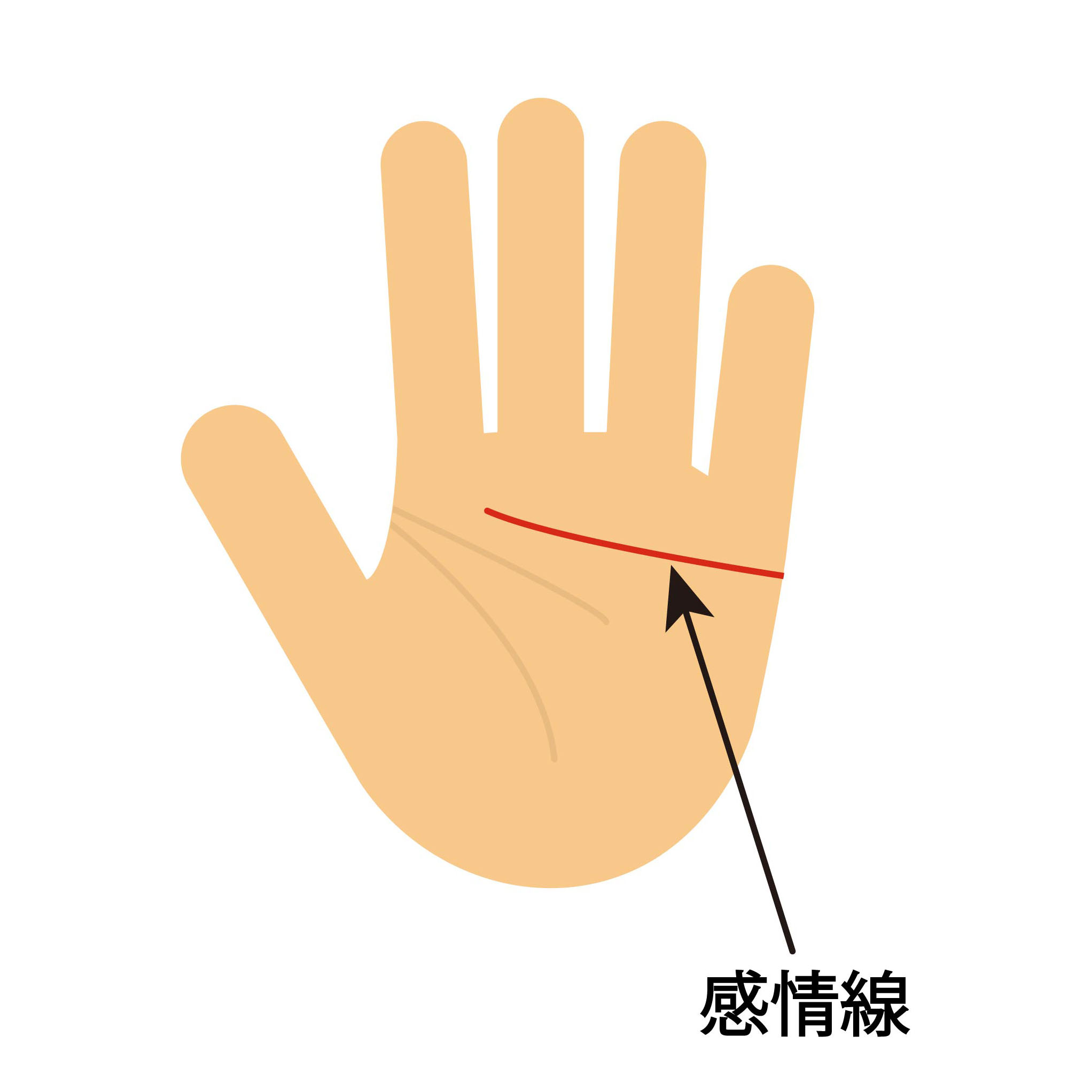 感情線の意味(手相占い)・解説
