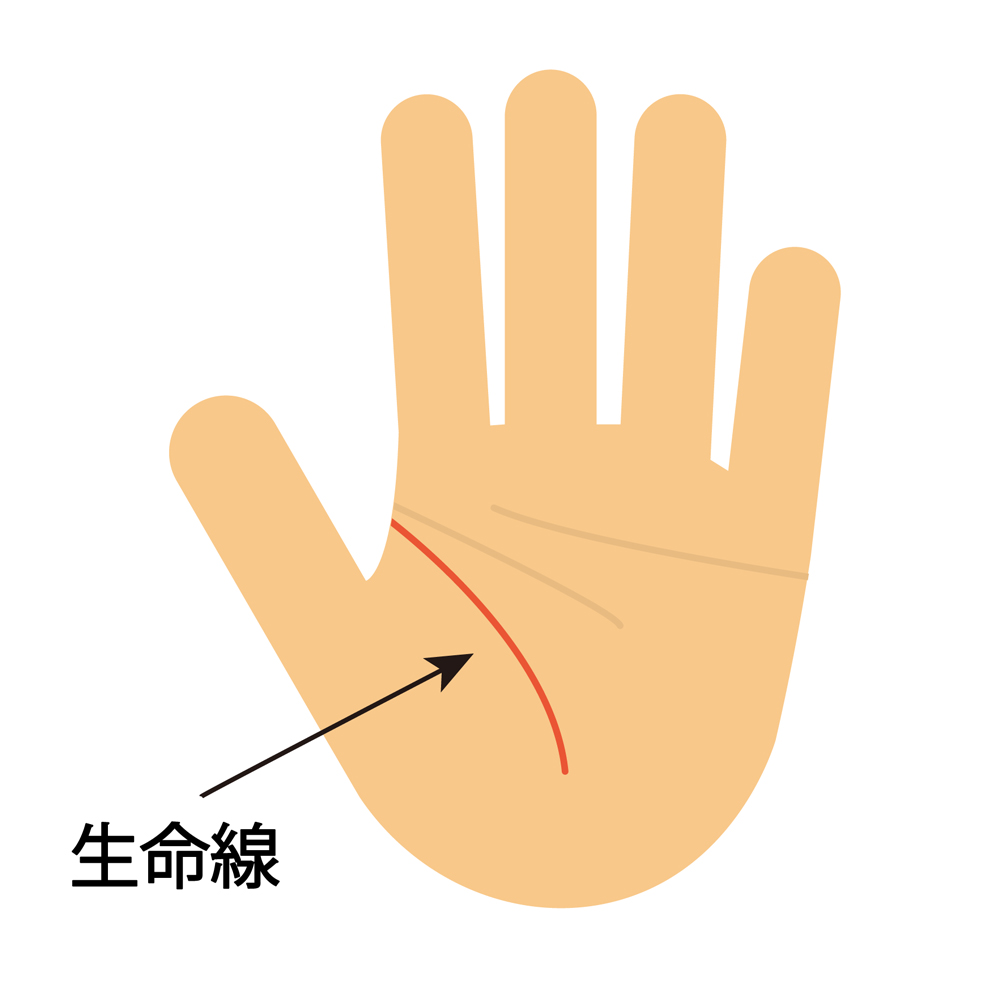 生命線の意味
