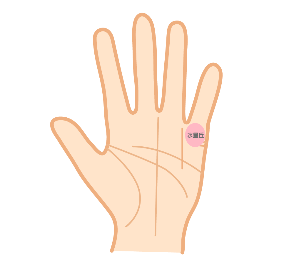 水星丘(Mount of Mercury) の意味– コミュ力・商才・知恵