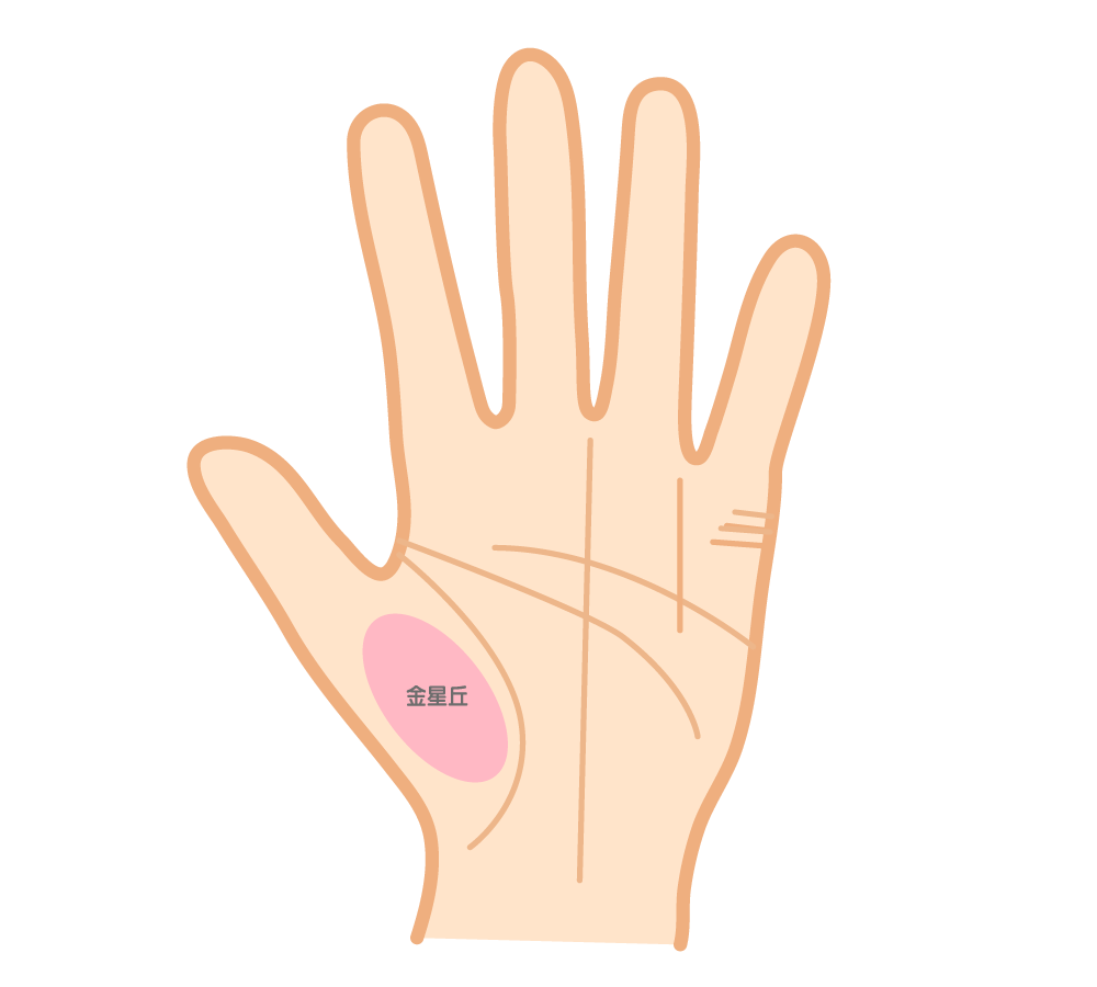 金星丘(Mount of Venus)の意味 – 愛情・生命力・魅力